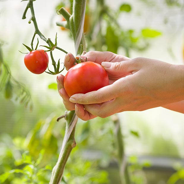 Nur das Beste ist genug